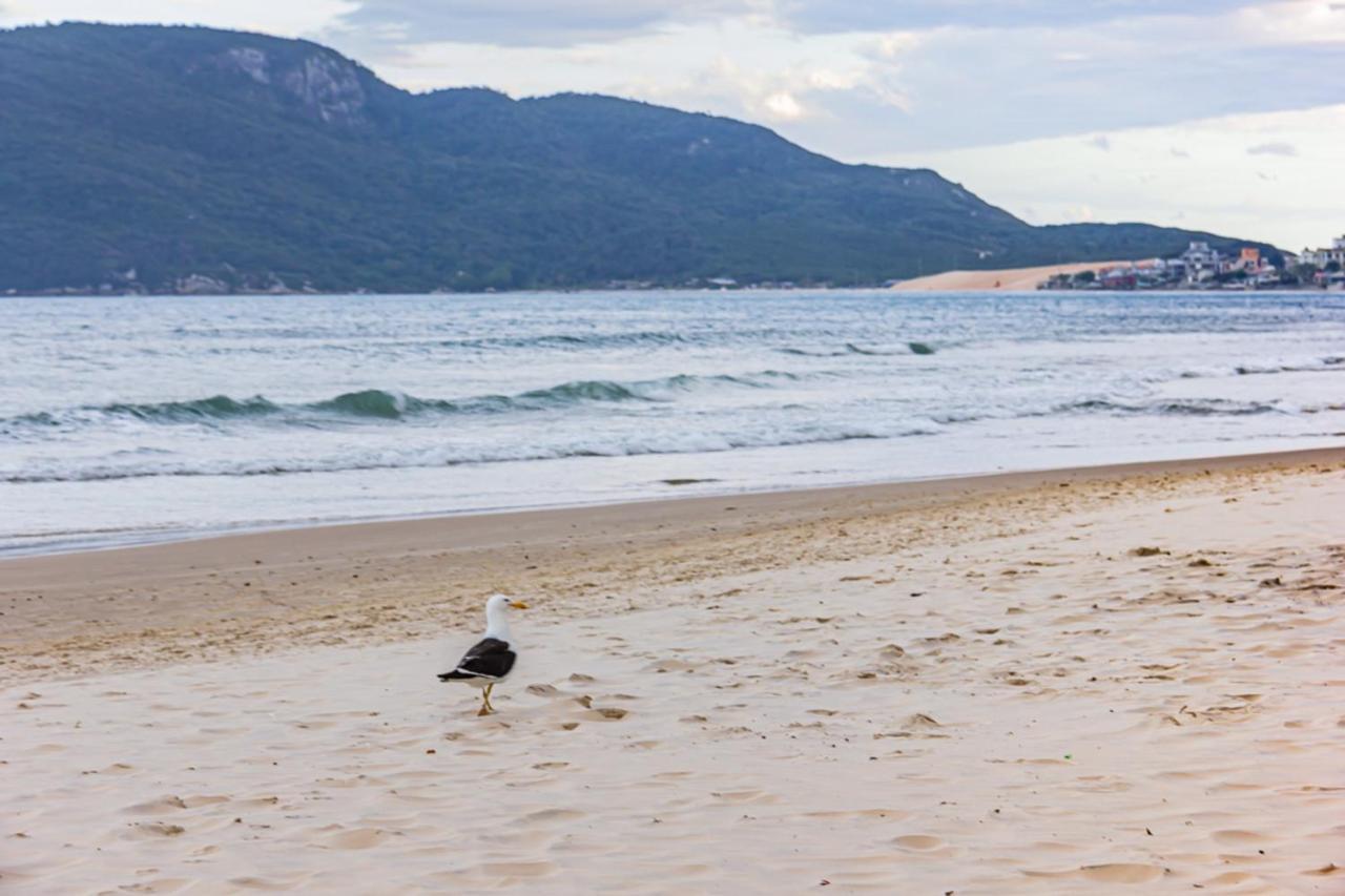 Cobertura Com Vista Mar Para 6 Hospedes, 150 Metros Da Praia Dos Ingleses Ing17 Florianópolis Exteriör bild